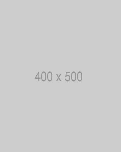 litho-400x500-ph